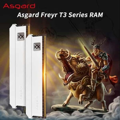 Купить оперативную память Asgard DDR5 16 ГБ 4800-5200 МГц 