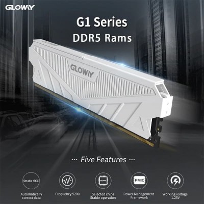 Купить оперативную память Gloway DDR5 16 ГБ 32 ГБ 4800-5200 МГц