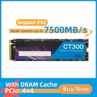 Купить SSD накопитель CT300 512GB 
